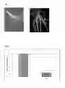 Fig. 03 - Methods for Increasing Resistance to Soybean Cyst Nematode in Soybean Plants