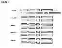 Fig. 02 - Vectors and Methods For Enhancing Recombinant Protein Expression in Plants