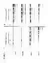 Fig. 03 - Vectors and Methods For Enhancing Recombinant Protein Expression in Plants