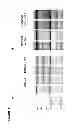 Fig. 05 - Vectors and Methods For Enhancing Recombinant Protein Expression in Plants