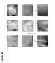 Fig. 09 - Vectors and Methods For Enhancing Recombinant Protein Expression in Plants