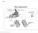 Fig. 08 - Plant Hormone Biosensors