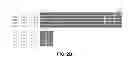 Fig. 07 - FUNCTIONAL EXPRESSION OF SHUFFLED YEAST NITRATE TRANSPORTER (YNT1) IN MAIZE TO IMPROVE NITRATE UPTAKE UNDER LOW NITRATE ENVIRONMENT