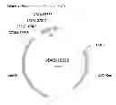 Fig. 09 - FAD2 performance loci and corresponding target site specific binding proteins capable of inducing targeted breaks