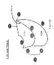 Fig. 12 - Multilayered perspiration controlling garments