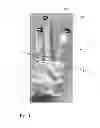 Fig. 04 - Flexible Mid-Section Float System for Protective Outerwear