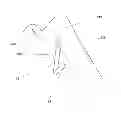 Fig. 04 - Collar Stay