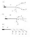 Fig. 05 - Shower system and apparatus