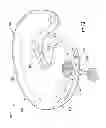Fig. 14 - Nursing and infant support pillow with accessory unit