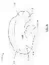 Fig. 20 - Nursing and infant support pillow with accessory unit