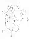 Fig. 22 - Nursing and infant support pillow with accessory unit