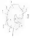 Fig. 26 - Nursing and infant support pillow with accessory unit