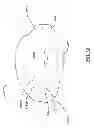 Fig. 34 - Nursing and infant support pillow with accessory unit