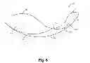 Fig. 05 - Back support device