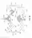 Fig. 07 - Crush recoverable polymer scaffolds