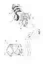 Fig. 09 - Locking device
