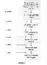 Fig. 06 - Methods and compositions for treating soil and plants