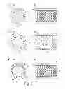 Fig. 04 - Heating and cooling device for handles, especially of steering mechanisms