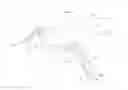 Fig. 01 - OPEN-ENDED WRENCH HAVING MOVABLE ARMS