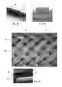 Fig. 06 - Tire having a composite cord in the tread