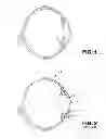 Fig. 02 - Iris shield