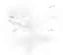 Fig. 01 - Canopy System for an Emergency Gurney
