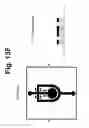 Fig. 20 - Valved, microwell cell-culture device and method