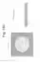 Fig. 31 - Valved, microwell cell-culture device and method