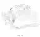 Fig. 11 - Sports memorabillia article and method for making the same