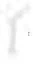 Fig. 13 - Sports memorabillia article and method for making the same