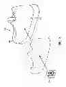 Fig. 04 - Protective member for graphic transfer process