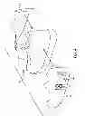Fig. 05 - Protective member for graphic transfer process