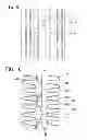 Fig. 10 - Cold-storage heat exchanger