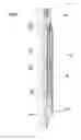 Fig. 04 - Safety valve system for cable deployed electric submersible pump