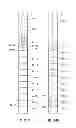 Fig. 34 - High power laser decomissioning of multistring and damaged wells