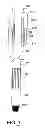 Fig. 09 - Rotating and reciprocating swivel apparatus and method