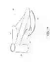 Fig. 17 - Electric scooter assemblies