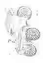 Fig. 02 - All terrain vehicle