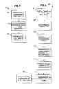 Fig. 06 - Combustible fuel and apparatus and process for creating the same