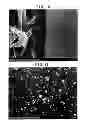Fig. 08 - NANOPARTICULATE FIBER SOLUTION, ITS FABRICATION PROCESS, AND NANOPARTICULATE FIBER MEMBRANE FILTER