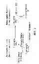 Fig. 03 - Method and apparatus for maximizing nitrogen removal from wastewater