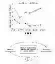 Fig. 10 - Method and apparatus for maximizing nitrogen removal from wastewater