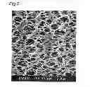 Fig. 06 - Porous membrane, process for producing porous membrane, process for producing clarified liquid, and porous-membrane module