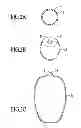 Fig. 03 - Bottle with integral dip tube
