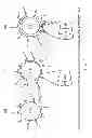 Fig. 02 - Preparation of nanoparticle materials