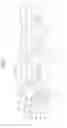 Fig. 06 - Organic light emitting display device