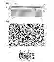Fig. 02 - OLEDs comprising light extraction substructures and display devices incorporating the same