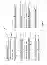 Fig. 02 - Implant isolated devices and method for forming the same