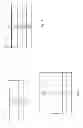Fig. 07 - Integrated circuit metal gate structure