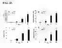 Fig. 41 - OSTEOCHONDRAL IMPLANTS, ARTHROPLASTY METHODS, DEVICES, AND SYSTEMS